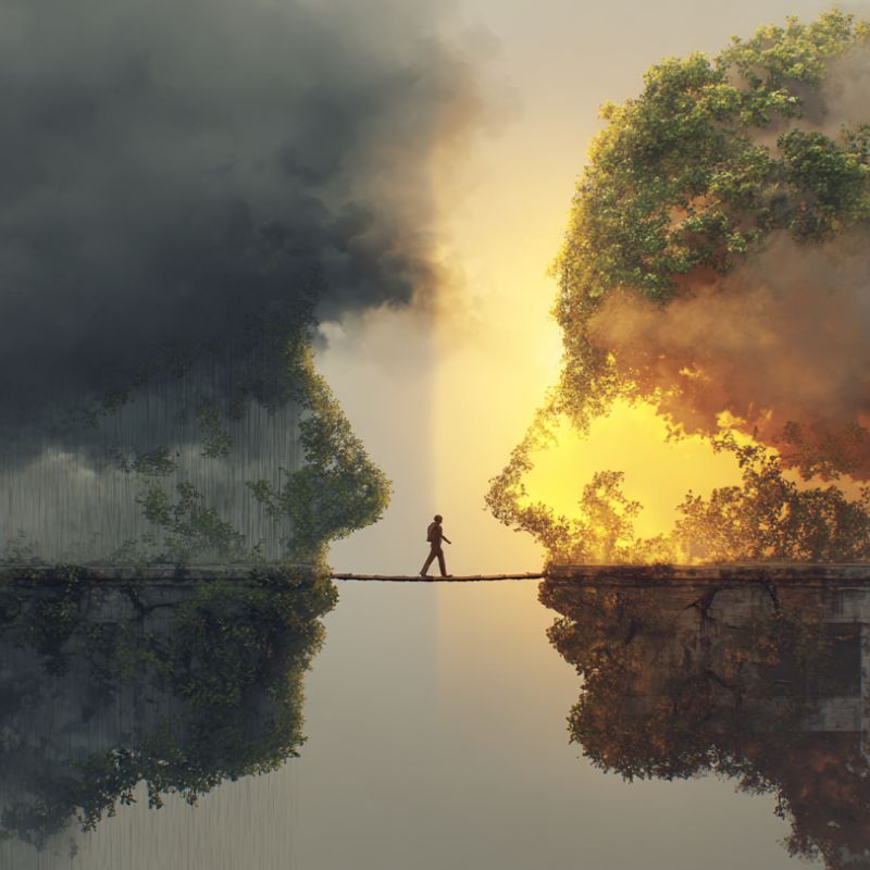 How Much Does Cognitive Behavioral Therapy Cost CBT Costs